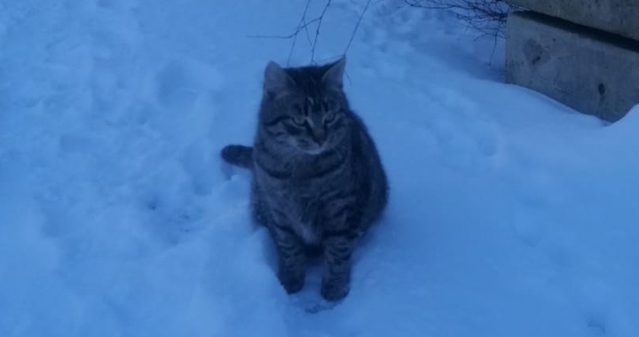 Zdjęcie osoby potrzbującej